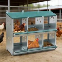 Chicken Nesting Boxes With Nesting Holes And Legs, Including Cover For Outdoor Use ( / Poultry Farm) - 6-hole - View 7