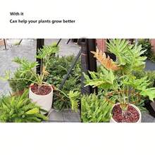 1set/2/3/6sets Climbing Plant Support Rack, Sturdy Plant Fixing Clips, Flower Stem Storage Rack, Multi-Functional, Durable And Aesthetic. - Multicolor - View 6