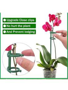 5/10 piezas Estacas de soporte para plantas con clips, varas de soporte para orquídeas, adecuadas para tomates en maceta, rosas, flores, postes de soporte para plantas de jardín, uso interior y exterior, adecuadas para el jardín - Varios estilos - Ver 6