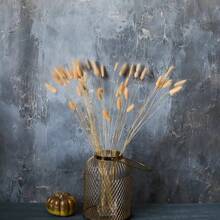 30~240pcs 17-Inch Multicolor Artificial Rabbit Tail Grass, Faux Rabbit Tail Grass Stems For Home Decor, Suitable For Bohemian Style Floral Arrangements, DIY Crafts, Home Kitchen And Wedding Decor, Christmas Decoration - Light Orange - View 5