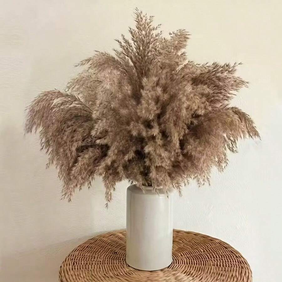10支/盒 人造芒草裝飾 16.9英吋 仿真蘆葦羽毛花束,白色芒草,適用於波希米亞風格房間花卉裝飾用品,婚禮花瓶臥室地板裝飾,人造植物,生日週年禮物,DIY花環裝飾(輕微異味,不影響使用) - 棕色 - 查看 1