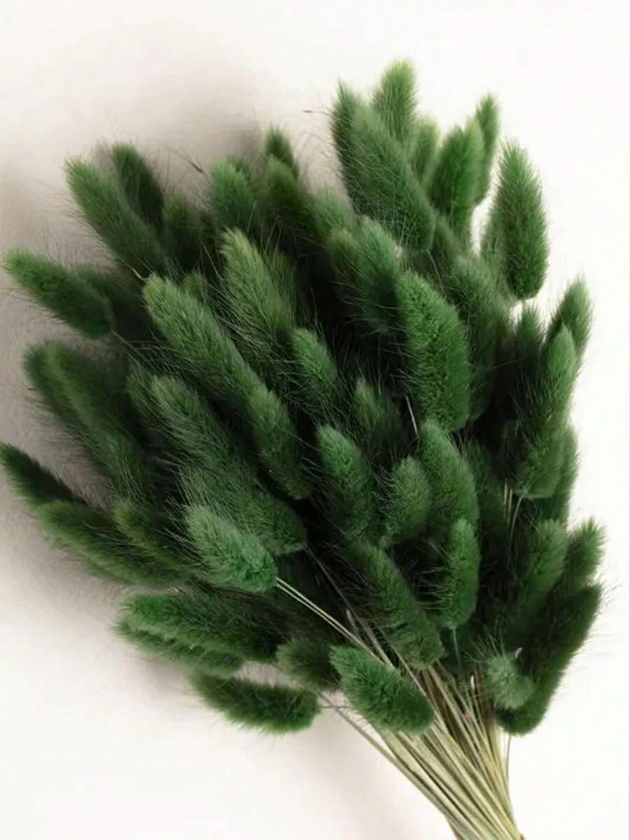 55~60支 17英吋紅色人造兔尾草花莖,居家裝飾人造兔尾草,適用於波希米亞風花藝插花、DIY手工藝、居家廚房與婚禮裝飾、聖誕裝飾、聖誕感恩節裝飾、DIY花環裝飾 - 深綠色 - 查看 1