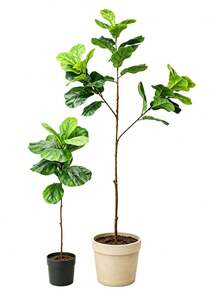 VPY 1/2pcs Artificial Living Room Greenery With Large Artificial Leaf Design And Minimalist Ceramic Pot, Suitable For Modern Minimalist Home Decor, Creating A Fresh And Natural Home Atmosphere, Adding Vitality And Energy To The Living Room, Mother's Day Gift, Random Style Shipped - Multicolor - View 8