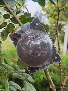 10pcs Multi-Color Plant Air Layering Propagation Boxes, Branch Rooting Device, Fruit Tree And Flower Grafting Tool, Snap Design With Ventilation And Drainage Holes, Durable UV-Resistant PP Material, Transparent/Opaque Optional, Rooting Without Cutting Branches, Fits Multiple Sizes, Garden Asexual Propagation Supplies - Grafting Protective Sleeve - View 3