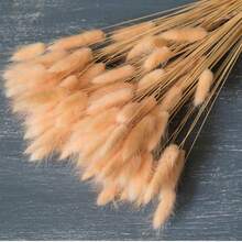 30~240pcs 17-Inch Multicolor Artificial Rabbit Tail Grass, Faux Rabbit Tail Grass Stems For Home Decor, Suitable For Bohemian Style Floral Arrangements, DIY Crafts, Home Kitchen And Wedding Decor, Christmas Decoration - Light Orange - View 6