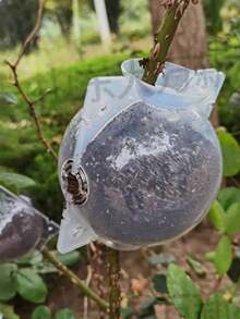 10Pcs Multi-Color Plant Air Layering Propagation Boxes, Tree Branch Rooting Devices, Grafting Tools For Fruit Trees & Flowers, Snap-Lock Design With Vent & Drain Holes, Durable UV-Resistant PP Material, Transparent/Opaque Options, Grow Roots Without Cutting Branches, Fits Various Sizes, Garden Propagation Supplies - Grafting Protective Sleeve - View 4
