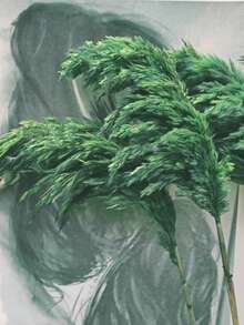 10支/盒 人造芒草裝飾 16.9英吋 仿真蘆葦羽毛花束，白色芒草，適用於波希米亞風格房間花卉裝飾、婚禮花瓶、臥室地板裝飾、人造植物、生日週年禮物、DIY花環裝飾（輕微異味，不影響使用） - 綠色 - 查看 2