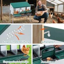 Chicken Nesting Boxes With Nesting Holes And Legs, Including Cover For Outdoor Use ( / Poultry Farm) - 3-hole - View 3