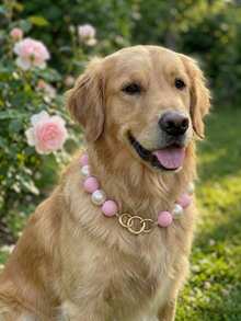 16MM Pearl Dog Necklace Collar, Pink Cute Color-Block Cat Necklace Collar, Dog Necklace Collar, Pet Birthday Gift, Pet Photography Prop, Pet Travel Matching Necklace - Pink - View 5