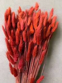 55~60支 17英吋紅色人造兔尾草，仿真兔尾草莖，適用於波希米亞風花藝、DIY手工、居家廚房與婚禮裝飾、聖誕裝飾、聖誕感恩節裝飾、DIY花環裝飾 - 橘紅色 - 查看 3