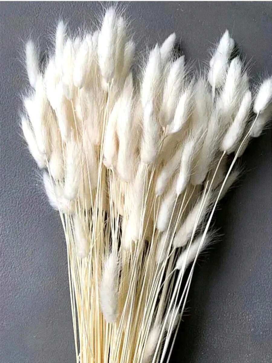 55-60根,17英寸红色人造兔尾草,家居装饰人造兔尾草茎,适用于波西米亚风格插花、DIY手工、家居厨房和婚礼装饰、圣诞节、感恩节、花环装饰 - 白色兔尾草 - 查看 1