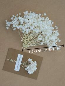 25/50/100/300/Pcs 人造迷你星星 - 用於樹脂模具藝術和手工藝品、髮飾、婚禮花環、桌花、家居裝飾等 - - 漂白滿天星5 - 查看 5