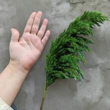 10pcs Artificial Pampas Grass Decorative Flowers, Faux Reed Feather Bouquet, Pink Dried Pampas Grass Preserved Flowers, Suitable For Bohemian Style Indoor Floral Decoration, Wedding Vase Arrangement, Bedroom Floor Display; Also Can Be Used As Faux Greenery, Birthday / Anniversary Gift, DIY Wreath Accessories, Banquet Party Scene Decoration, Florist Floral Supplies. - Green - View 4