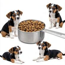 1pc Stainless Steel Dog Food Measuring Cup, Graduated Pet Food Spoon, Suitable For Cats And Dogs, Multiple Sizes Available, 60ml-235ml, 1/4 Cup~1 Cup - Multiple Specifications - View 2