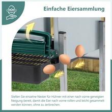 Chicken Nesting Boxes With Nesting Holes And Legs, Including Cover For Outdoor Use ( / Poultry Farm) - 3-hole - View 6
