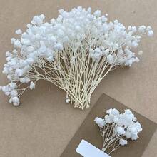 20/50/100/150/300pcs Mini Artificial Baby's Breath And Other Flowers - For Resin Mold Art & Crafts, Colorful Bouquets For Hair Accessories, Wedding Wreaths, Tabletop Decor, Home Decor Bouquets - White - View 1