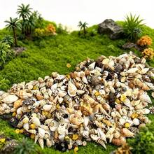 [Sekitar 200 pcs] Paket Campuran Scrub Kerang Gaya - Bahan Dekoratif DIY Buatan Tangan (Hadiah Paskah/Hari Ibu/Hari Valentine) Dekorasi Botol Kerang Mini Berwarna-warni/Dekorasi Akuarium - Berbagai gaya - View 5