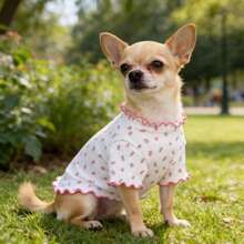 1 buah Pakaian Anjing/Kucing Peliharaan, Motif Bunga Seluruh Permukaan dengan Hiasan Pita Merah Muda, Pakaian Kasual yang Bernapas & Nyaman untuk Teddy, Poodle, Chihuahua, Cocok untuk Musim Semi/Musim Gugur - Hot Pink - View 5