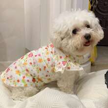 1pc Pet Clothes, Light Yellow Floral Print Ruffle Sleeve T-Shirt, Ins Style, Cute Princess Tee For Dogs & Cats, Suitable For Dachshund, Border Collie, Bichon Frise And Poodle - Yellow - View 12