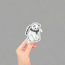 Sensitive Cat Sticker | Matte Or Glittery | Relatable Stickers | Coquette Cats Water Bottle Sticker, Funny Stickers, Cute Stickers, Laptop Sticker, Stickers, Sticker For Laptop School Supplies - Star Film - View 12
