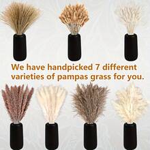 620 PCS Dried Pampas Grass Decor, Dried Flower Bouquets For Wedding, Home, Centerpiece Table, Modern Home, Western Living Room, Nurserie, Nursery, Boho Room, Beach, Women Office, And Boho Decor - Pampas Grass - View 4