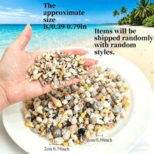 [Sekitar 200 pcs] Paket Campuran Scrub Kerang Gaya - Bahan Dekoratif DIY Buatan Tangan (Hadiah Paskah/Hari Ibu/Hari Valentine) Dekorasi Botol Kerang Mini Berwarna-warni/Dekorasi Akuarium - Berbagai gaya - View 3