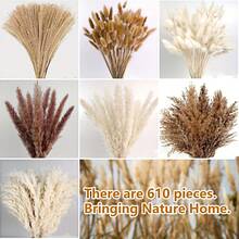 620 PCS Dried Pampas Grass Decor, Dried Flower Bouquets For Wedding, Home, Centerpiece Table, Modern Home, Western Living Room, Nurserie, Nursery, Boho Room, Beach, Women Office, And Boho Decor - Pampas Grass - View 7