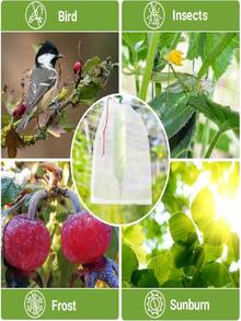 10/5pcs Drawstring Garden Mesh Bags - Essential For Protecting Fruits, Vegetables And Lawns From Insect And Bird Damage. 7.08 Inch Reusable Garden Mesh Bags With Drawstring. Suitable For Plant Protection Of Fruits, Vegetables, Tomatoes, Apples And Peaches. - Insect-proof Netting - View 2