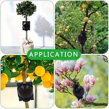 20pcs/10pcs Reusable Plant Root Growing Box, High Pressure Propagation Ball, Botany Rooting & Grafting Device For Fast Plant Propagation, Air Layering Pod - Multiple Styles - View 7