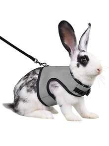 1Pc Adjustable Rabbit Harness With Leash, Soft Breathable Mesh Vest Harness For Small Pets, Anti-Pull No-Escape Design, Comfortable Chest Strap For Bunny Kitten Ferret Guinea Pig Walking, Outdoor Training & Travel Pet Supplies - Multicolor - View 10