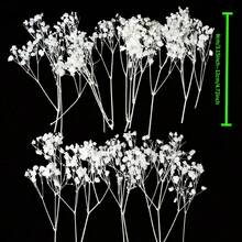 20/50/100/150/300pcs Mini Artificial Baby's Breath And Other Flowers - For Resin Mold Art & Crafts, Colorful Bouquets For Hair Accessories, Wedding Wreaths, Tabletop Decor, Home Decor Bouquets - White - View 5