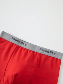 Tween Boy 4pcs Letter Waistband Boxer Briefs Mid-Rise Trunks, Fits Ages 8-12 - Multicolor - View 4