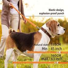 BVEOYPET 2-In-1 Reflective Elastic Dog Leash, Suitable For Walking, Hiking And Travel - Multicolor - View 2
