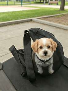 1pc Spring/Summer Breathable Mesh Pet Carrier Bag | Cat And Dog Universal Shoulder/Crossbody Bag | Lightweight Comfortable Pet Carrying Bag | Suitable For Small Dogs And Cats Travel - Black - View 5