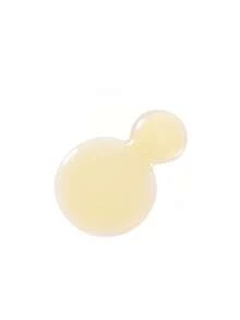 Skinceuticals A.G.E. Soothing Anti-Wrinkle Serum--15ml/0.5 Fl Oz - Mini 15ml - View 8