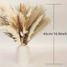 620 PCS Dried Pampas Grass Decor, Dried Flower Bouquets For Wedding, Home, Centerpiece Table, Modern Home, Western Living Room, Nurserie, Nursery, Boho Room, Beach, Women Office, And Boho Decor - Pampas Grass - View 2