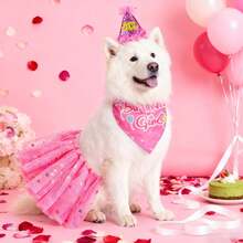 Dog Birthday Scarf With Hat And Dress Set For Female Dogs, Pet Birthday Outfit For Large Dogs, Birthday Party Supplies, Large Female Dog Dress, Cute Ballet Tutu Set For Medium To Large Dogs - Hot Pink - View 3