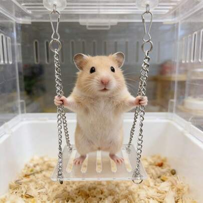 2件裝倉鼠蹺蹺板與鞦韆玩具，小動物籠配件，適用於天竺鼠與倉鼠，有助於緩解無聊並促進日常運動