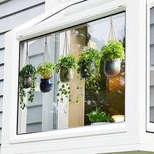 1PC Ins Style Hanging Green Plant Window Sticker, Vine Succulent Potted Plant Wall Decal, Bohemian Style Removable Waterproof PVC, Kitchen, Bathroom, Bedroom, Living Room Decoration - Multicolor - View 5