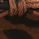 Leopard Print