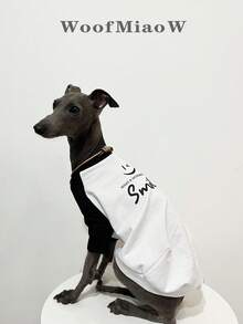 Italian Small Whippet Dog Clothes Fashion Versatile Color Block Happy Print Green Raglan T-Shirt Soft Comfortable Dog Spring Summer Two-Legged Base Layer Home Wear - Black - View 1