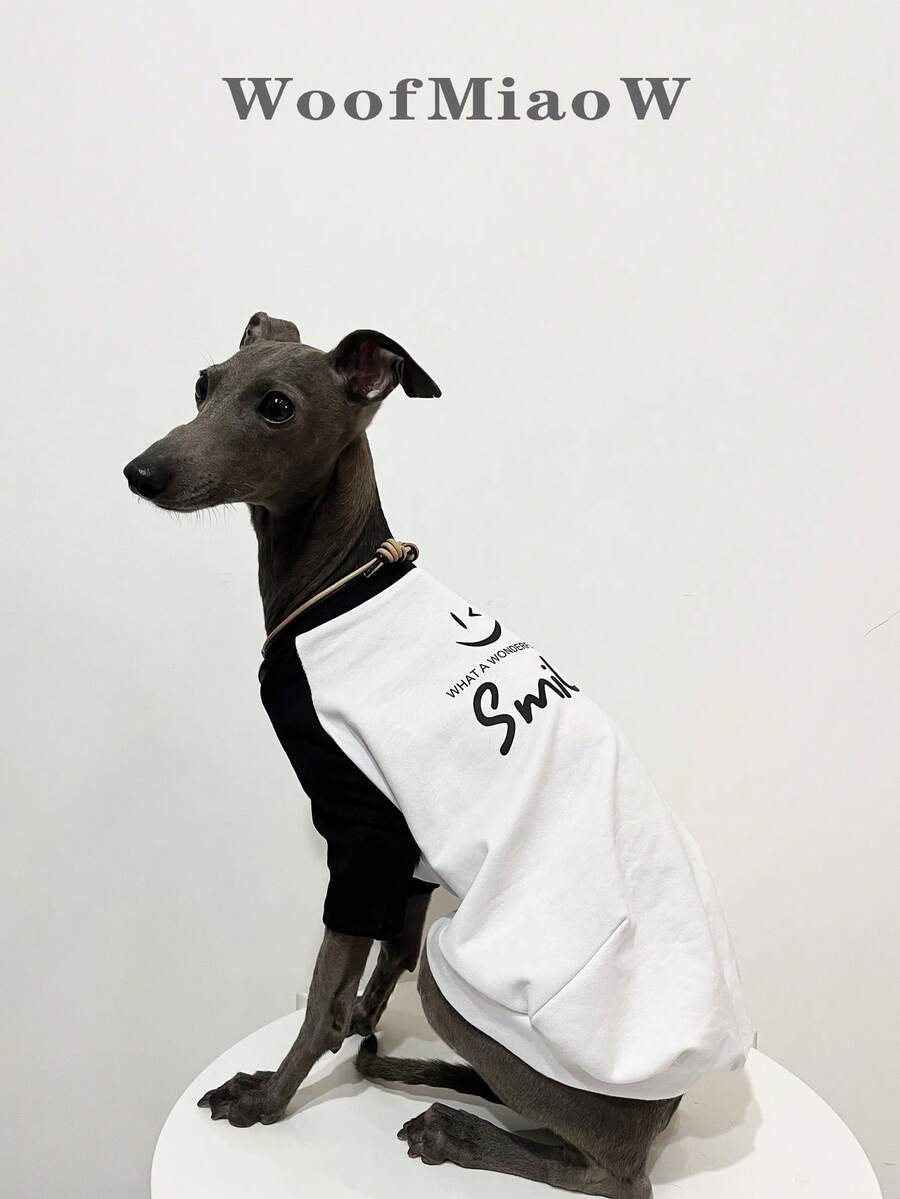 Italian Small Whippet Dog Clothes Fashion Versatile Color Block Happy Print Green Raglan T-Shirt Soft Comfortable Dog Spring Summer Two-Legged Base Layer Home Wear - Black - View 1