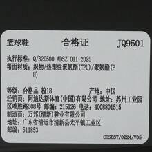 Adidas 中性款 ANTHONY EDWARDS 2 低筒籃球鞋 JQ9501 - 藍色 - 查看 8