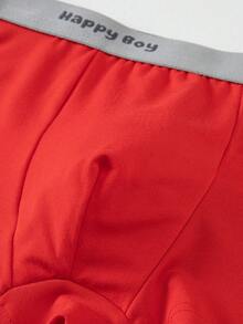 Tween Boy 4pcs Letter Waistband Boxer Briefs Mid-Rise Trunks, Fits Ages 8-12 - Multicolor - View 6