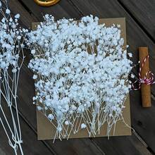 20/50/100/150/300pcs Mini Artificial Baby's Breath And Other Flowers - For Resin Mold Art & Crafts, Colorful Bouquets For Hair Accessories, Wedding Wreaths, Tabletop Decor, Home Decor Bouquets - White - View 2