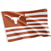 Desert Cactus University Of Texas Indoor And Outdoor 100% Polyester University Flag Banner, 3x5 Feet Longhorns (Nation) - A - View 2