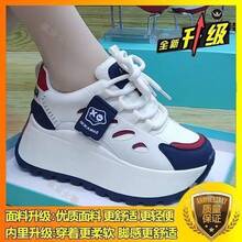 Women Field Sport Shoes - Blue - View 2