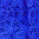 Biru