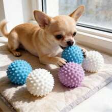 Dog Toy Ball/Dental Cleaning Durable Biting Elastic Ball Pet Boredom Buster/Biting Without Damaging Teeth! Dog Teething Spiky Ball Dental Cleaning And Boredom Relief 2-In-1/ TPR Spiky Ball Durable Biting Teething Dog Chew Ball Teddy Puppy Corgi Pet Training Ball Puppy Adult Dog Universal Boredom Buster Dental Cleaning Elastic Ball Small And Medium Dog Interactive Training Toy Anti-Destructive Pet Supplies - Multicolor - View 1
