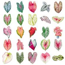 50入透明花卉復古美學植物防水乙烯貼紙包，適用於筆電、滑板、水壺、筆記本及學校用品 - 乾枯玫瑰色 - 查看 5